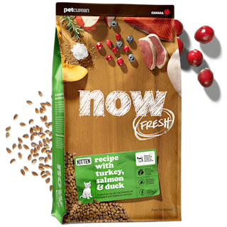 NOW-FRESH-Promo-Kitten-Recipe-US