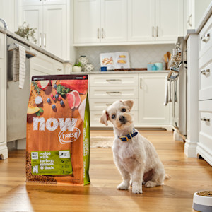NF-Campaign-Header-Pets-Cant-Read-Labels-US