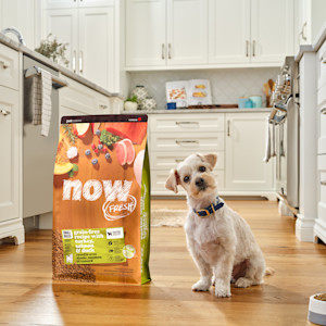 NF-Campaign-Header-Pets-Cant-Read-Labels-CA