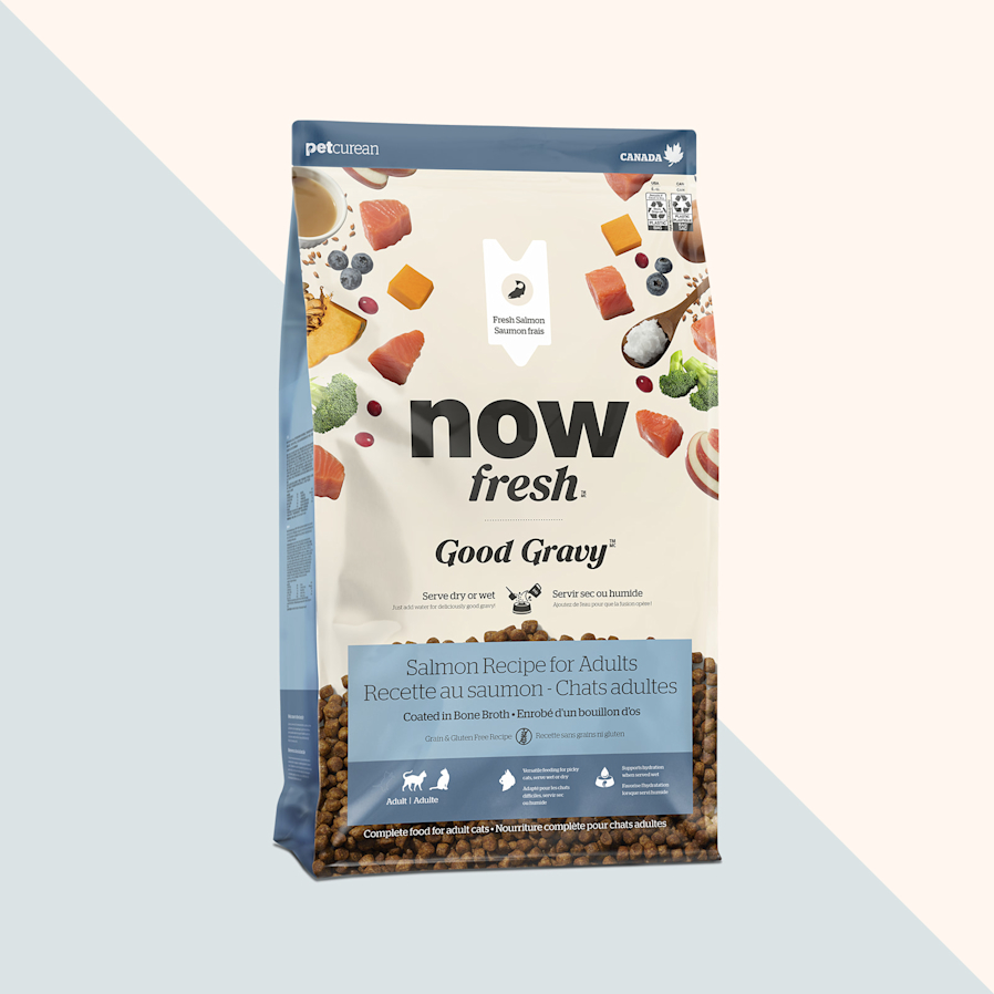 Now Fresh Good Gravy Salmon Recipe dry food for adult cats