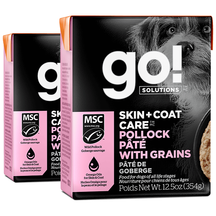 Go! Solutions Skin + Coat Care Pollock Pâté with Grains for Dogs