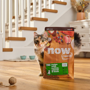 NF-Campaign-Header-Cats-Cant-Read-Labels-US