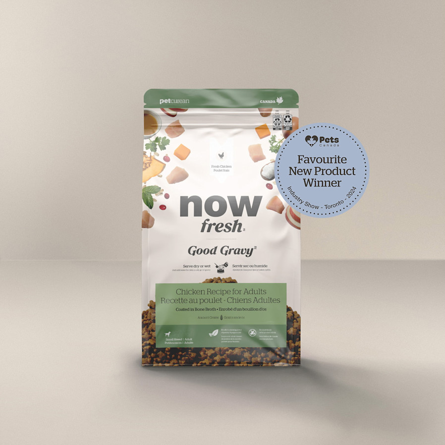 Now Fresh Good Gravy Chicken Recipe for Small Breed Adult Dogs, Pets Canada Favourite New Product Winner