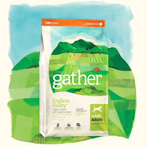 Endless Valley Vegan Recipe for Dogs