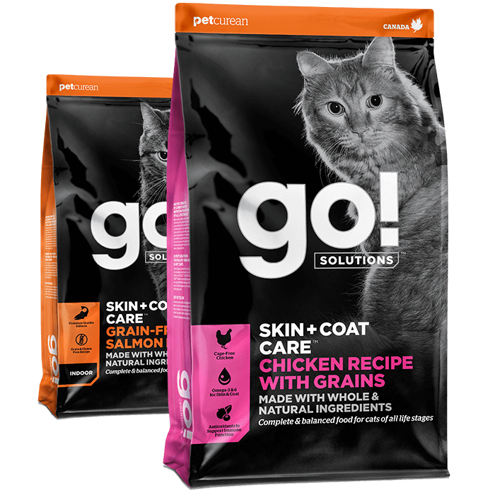 Go! Solutions Skin + Coat Care dry food recipes for cats