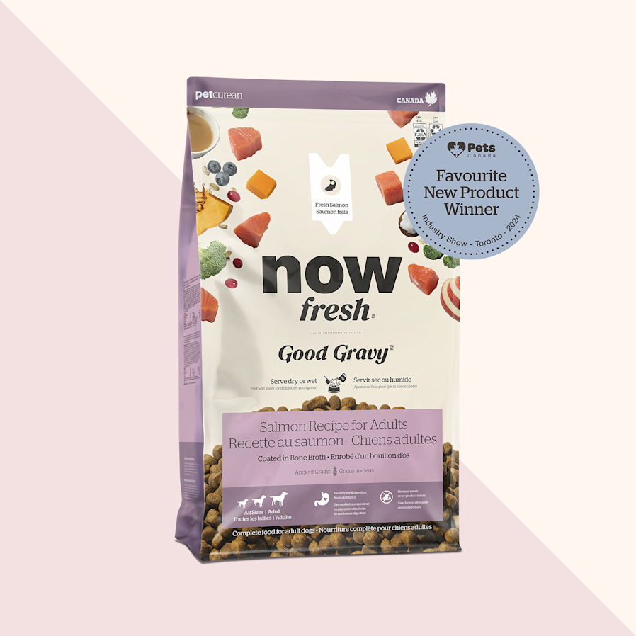 Recette au saumon Good Gravy de Now Fresh pour chiens adultes, produit préféré de l'année 2024 selon Pets Canada