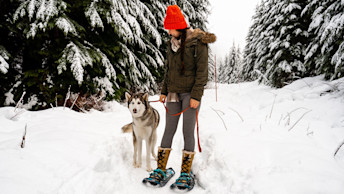 Husky and pet parent snow shoeing