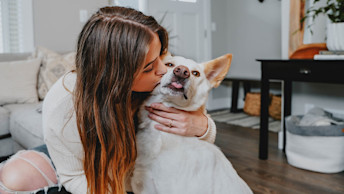 Pet parent giving dog a kiss in the living room