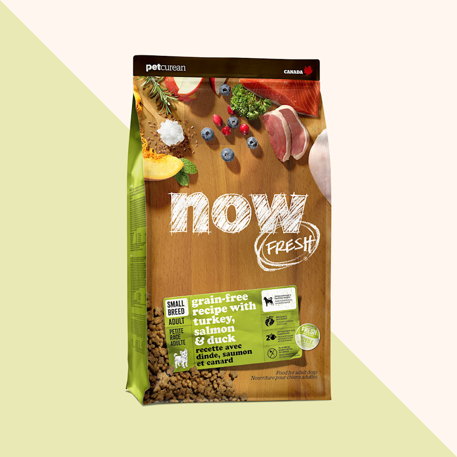 Now Fresh Grain-Free Recipe with Turkey, Salmon & Duck dry food for small breed adult dogs