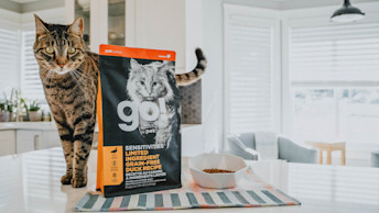 Brown cat standing on table with bowl and GO! SOLUTIONS SENSITIVITIES duck kibble bag