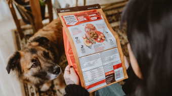 Dog watching owner read ingredient list on dog food bag