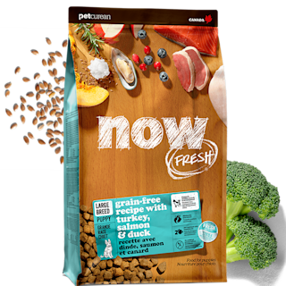 NOW-Fresh-Promo-Large-Breed-Puppy-Recipe-Cat2 with ingredients