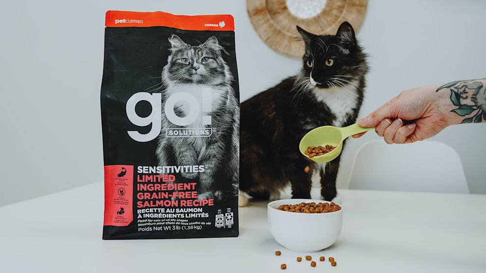 Black and white spotted cat being fed Go! Solutions Sensitivities kibble
