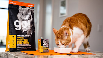 Orange and white cat eating from dish on counter beside GO! SOLUTIONS SENSITIVITIES Limited Ingredient Grain-Free Duck Recipe kibble and wet food