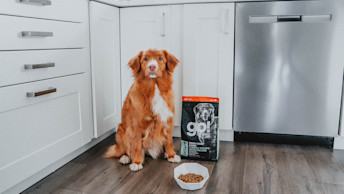 GS - Blog - Dog_S+C_Turkey_Feeding_2_0421
