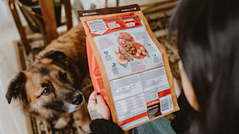 Dog watching owner read ingredient list on dog food bag