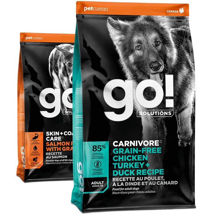 Go! Solutions Skin + Coat Care Salmon and Carnivore Chicken, Turkey + Duck dry food recipes for dogs
