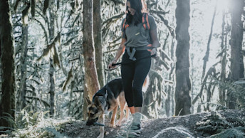 Pet parent and German Shepherd dog in the woods going for a hike