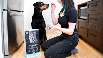 Woman feeding Doberman dog Go! Solutions Dental + Immune Health kibble