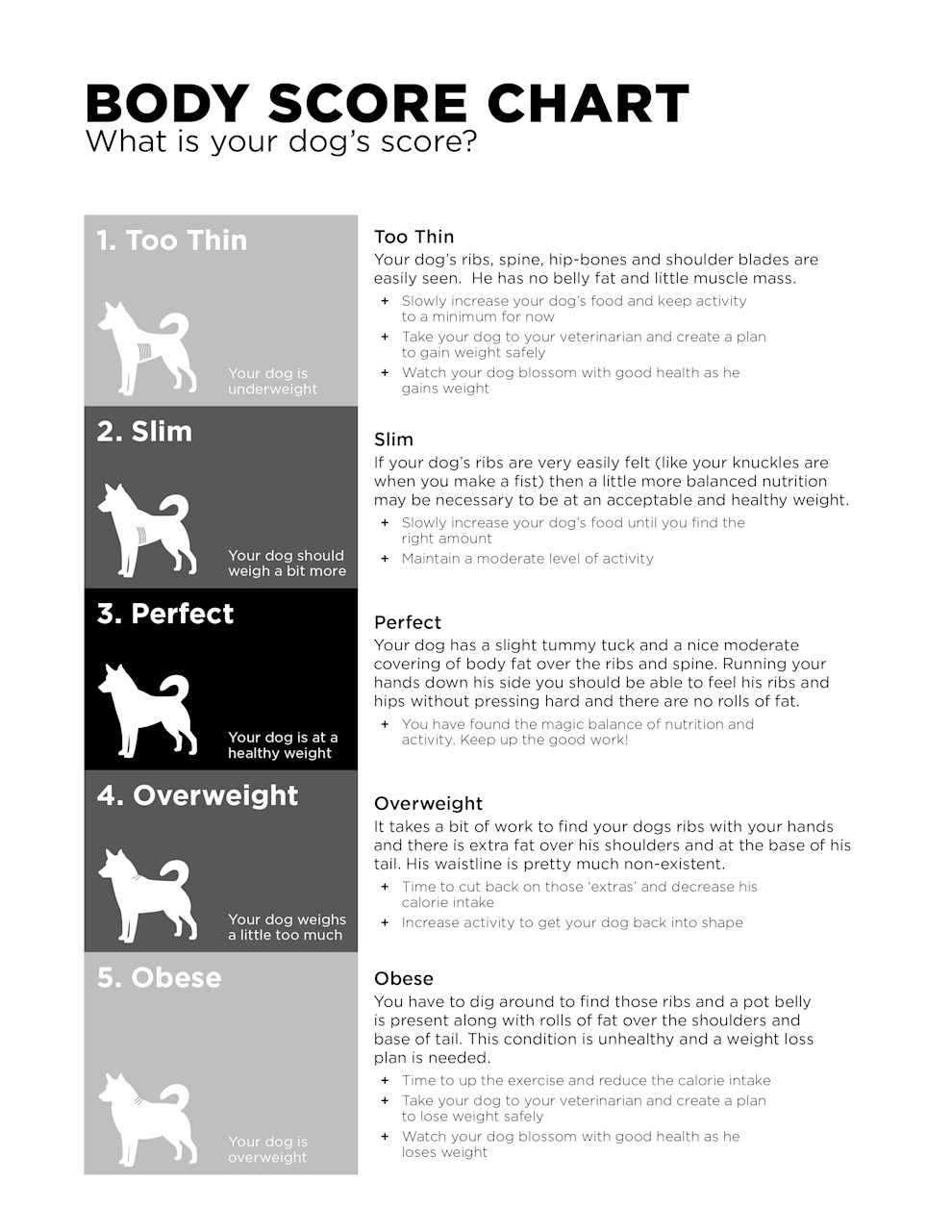 GO! SOLUTIONS dog body score chart