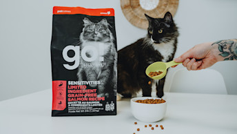 Black and white spotted cat being fed Go! Solutions Sensitivities kibble