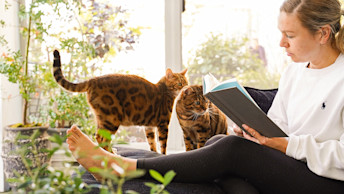 GO-SOLUTIONS-two-bengal-cats-beside-green-plants-and-pet-parent-reading-book
