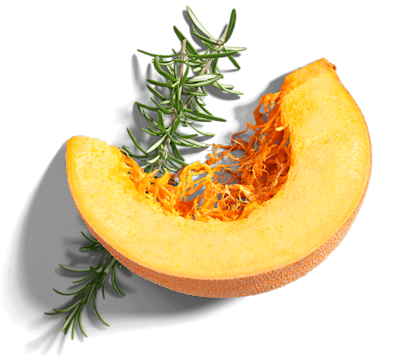 Slice of pumpkin and rosemary