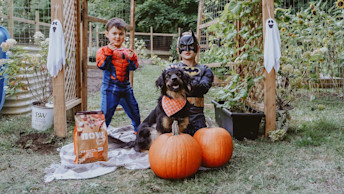 Dog and kids dressed up for Halloween