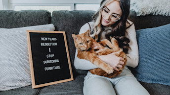 Ginger cat sitting on pet parents lap beside letterboard