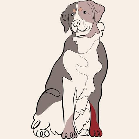 Dog illustration