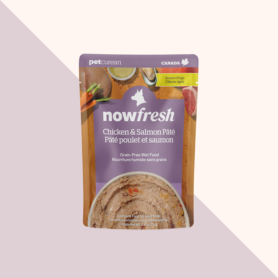 Nourriture humide pour chiens âgés Now Fresh, pâté au poulet et au saumon