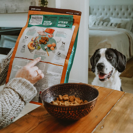 Owner reading back of NOW FRESH kibble bag in front of dog