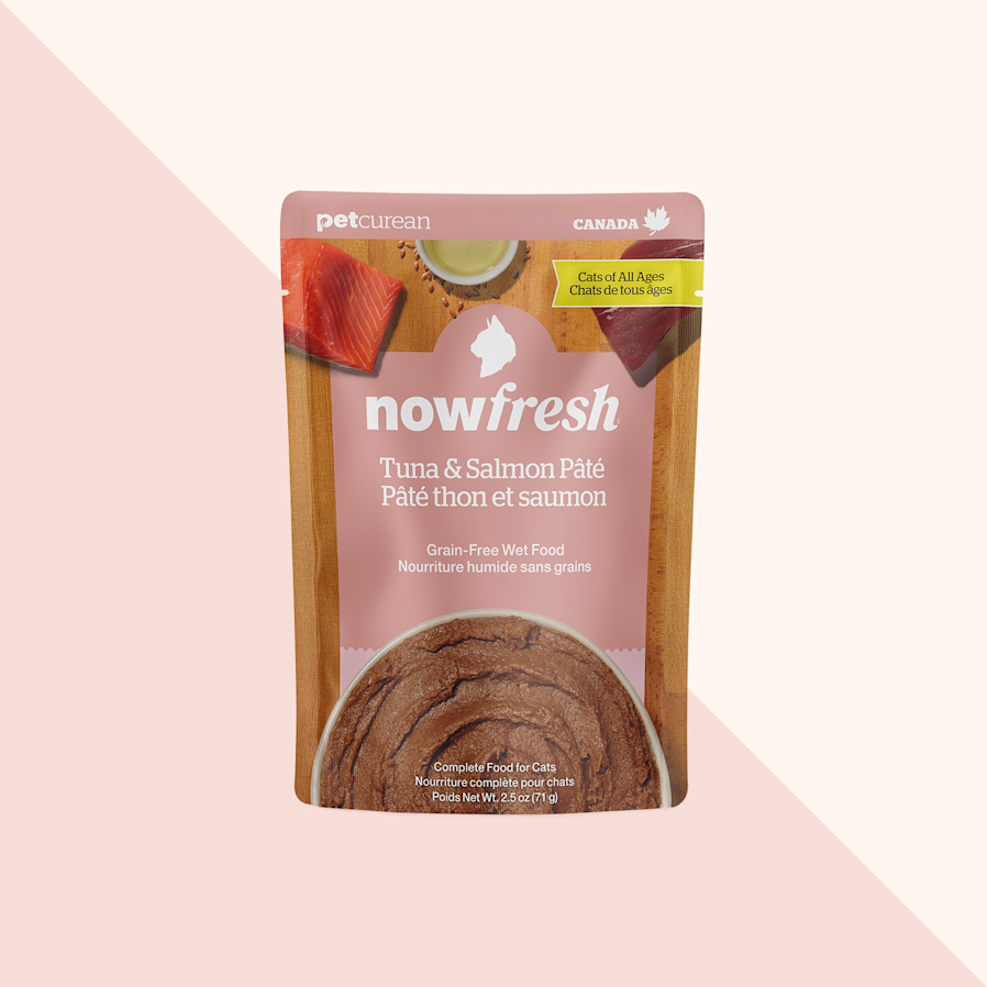 Nourriture humide pour chats Now Fresh, pâté au thon et au saumon