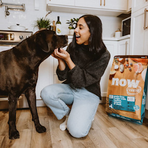 Chocolate Lab dog and owner in kitchen with bag of NOW FRESH kibble