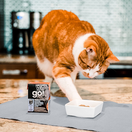 GS Cat Sensitivity Pollock Pate 1120