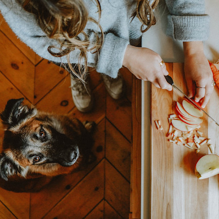 NF-Dog-Owner-Kitchen-Food-Prep-Aerial