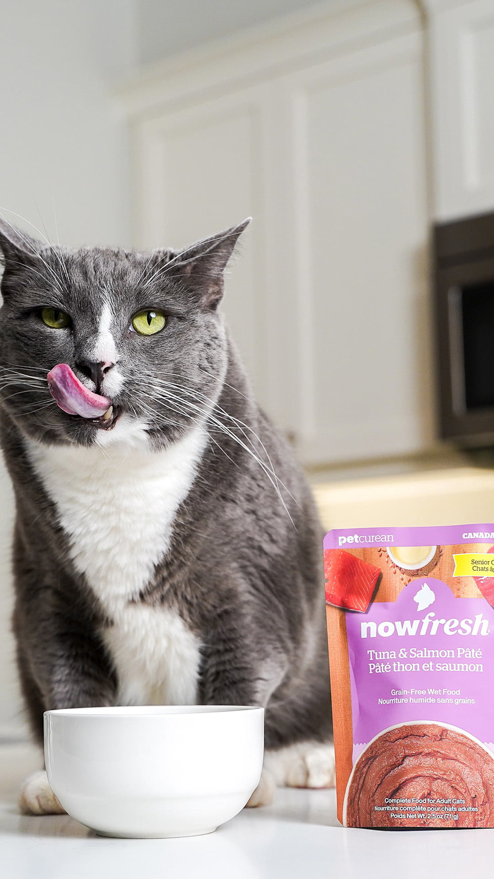Cat licking lips with Now Fresh wet food
