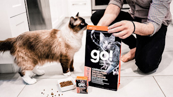 GO-SOLUTIONS-blog-cat-beside-carnivore-salmon-and-cod-kibble-and-wet-food-with-pet-parents-hand