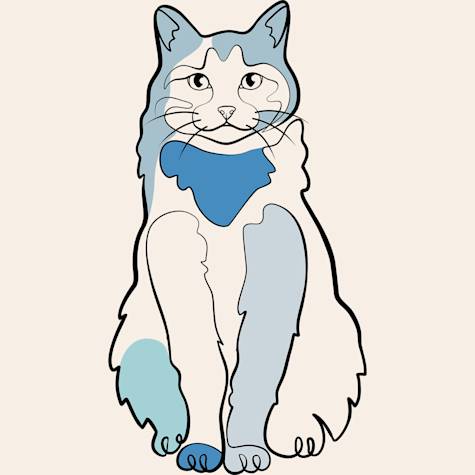 Cat illustration