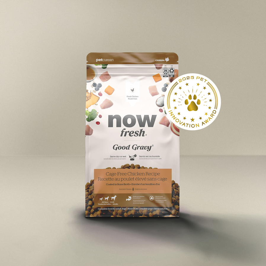 Now Fresh Good Gravy Cage-Free Chicken Recipe for Dogs, Pet Innovation Award 2025