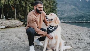 GO-SOLUTIONS-Blog-Dog-with-owner-petting-on-beach-0121