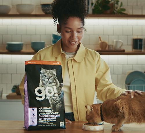 Woman petting cat on counter eating Go! Solutions Hairball Control + Urinary Care kibble