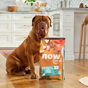 NF-Campaign-Header-Dogs-Cant-Read-Labels-CA