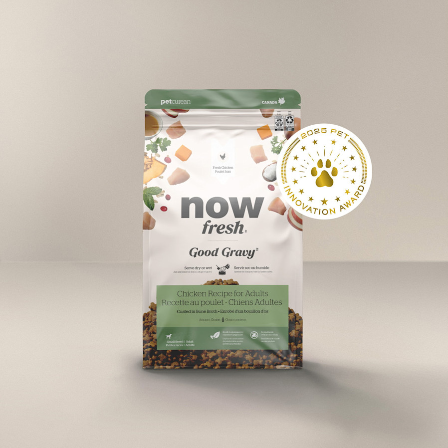 Now Fresh Good Gravy Chicken Recipe for Small Breed Adult Dogs, Pet Innovation Award 2025
