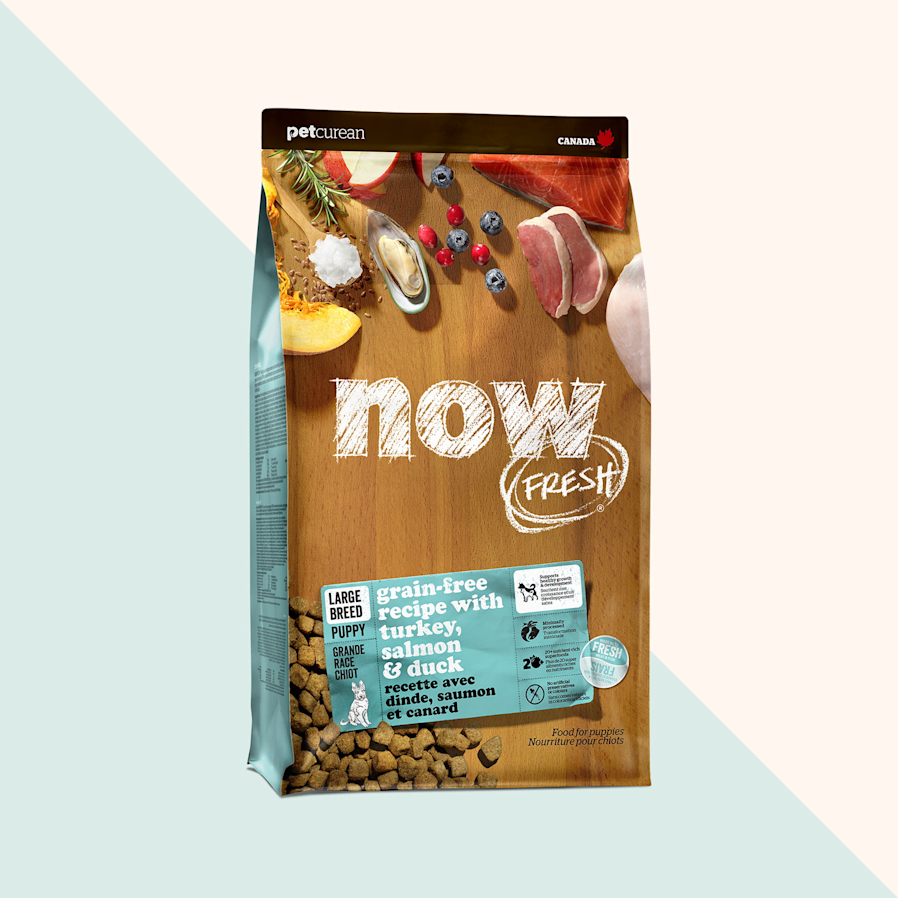 Now Fresh Grain-Free Recipe with Turkey, Salmon & Duck dry food for large breed puppies