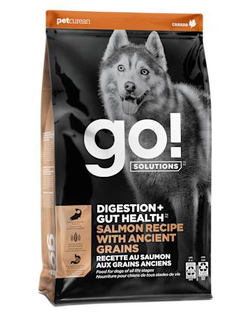 Go! Solutions Digestion + Gut Health Salmon dry dog food
