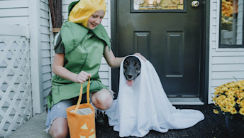 GS - Blog - Halloween Dog and Child