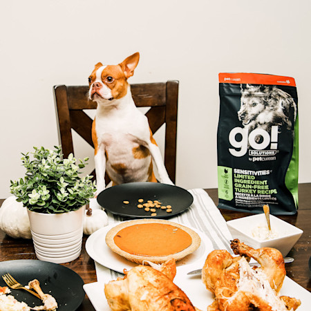 GS Dog Owner Thanksgiving Kibble 1020
