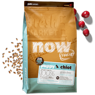 NF - Blog Promo - Large Breed Puppy Cat 3 w Ingredients
