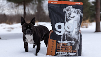 Boston Terrier beside bag of Go! Solutions Sensitivities kibble